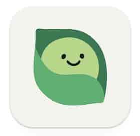 DailyBean logo