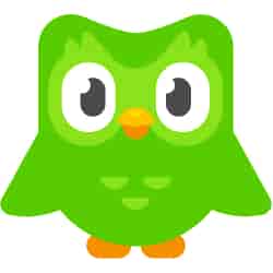 Duolingo logo