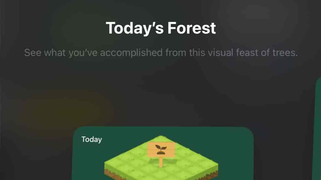 Screenshot of Forest
