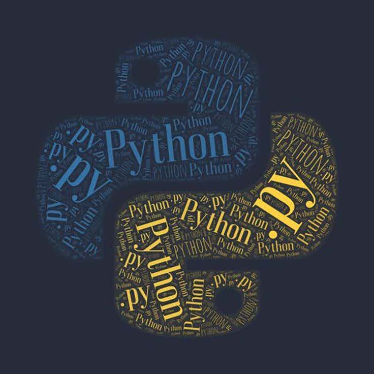 Learn Programming: Python logo